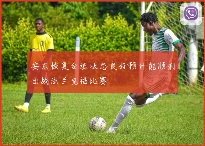 安东恢复合练状态良好预计能顺利出战法兰克福比赛