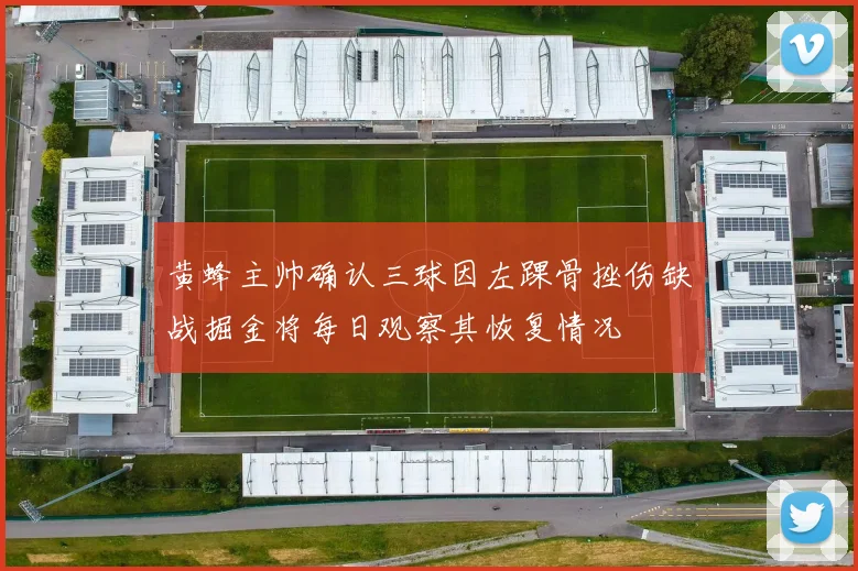黄蜂主帅确认三球因左踝骨挫伤缺战掘金将每日观察其恢复情况